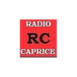 Radio Caprice Industrial Metal