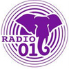 Radio 016