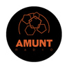 Amunt Radio