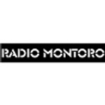 Radio Montoro