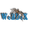 WeBDeX 8bit radio