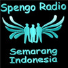 SpengoRadio SMG