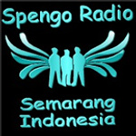 SpengoRadio SMG