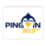 Radio Pingvin Beograd