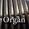 Calm Radio - Organ