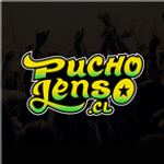 Puchojenso Radio