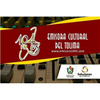 emisora cultural del tolima 104.3 fm stereo