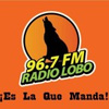 RADIO LOBO