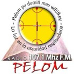 Radio Pelom