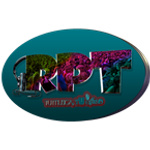 RPT Radio PortalTorres Internacional