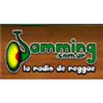 Jamming Radio