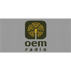 Oem Radio