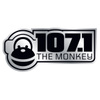 107.1 The Monkey