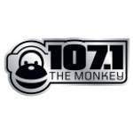 107.1 The Monkey