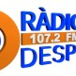 Radio Despi