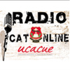 CatOnline Radio Network