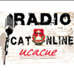 CatOnline Radio Network