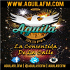 AGUILA 91.3 FM