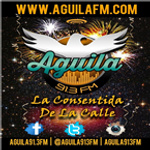 AGUILA 91.3 FM