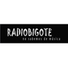 Radio Bigote