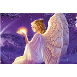 radio online tarotnorad