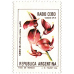 Radio Ceibo