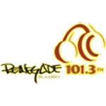 Renegade 101.3