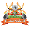 Radio Cobra