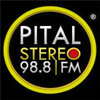 Pital Stereo