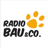 Radio Bau & Co.