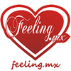 Feeling.MX