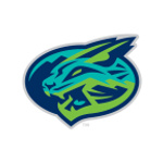 Lynchburg Hillcats Baseball Network