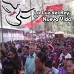 laluzdelreynuevavida