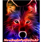 New Radio Petilia On Air