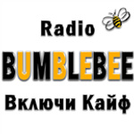 Radio BumbleBee