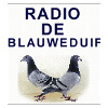 Radio De Blauweduif