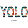 Yolo In Stereo