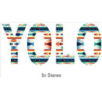 Yolo In Stereo