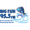 Big Fish 95.5