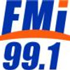 FMI 99.1