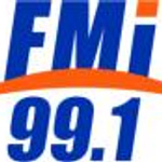 FMI 99.1