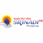 Srinadi FM