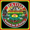 RADIO QUINCUSUYO BOLIVIA