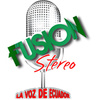 Fusion Stereo