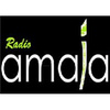 Radio Amaia