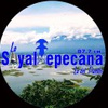 La Soyaltepecana fm 87.7