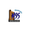 M95 TV